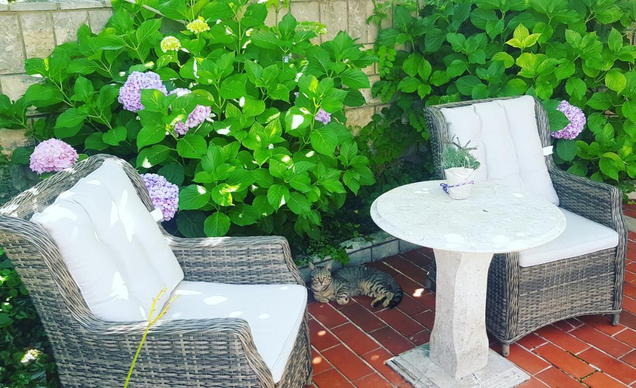 Apartman Taraca Villa Knezevic 赫尔采格诺维 外观 照片